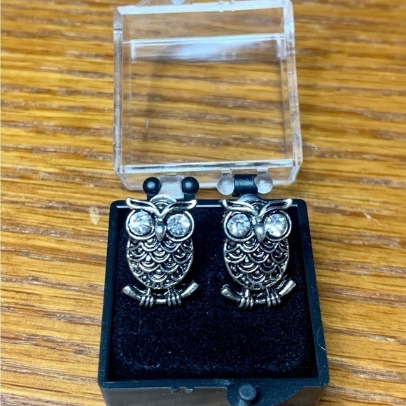 Jewelry - BRAND New Iron Alloy Owl Earrings w Rhinestone eyes 😍